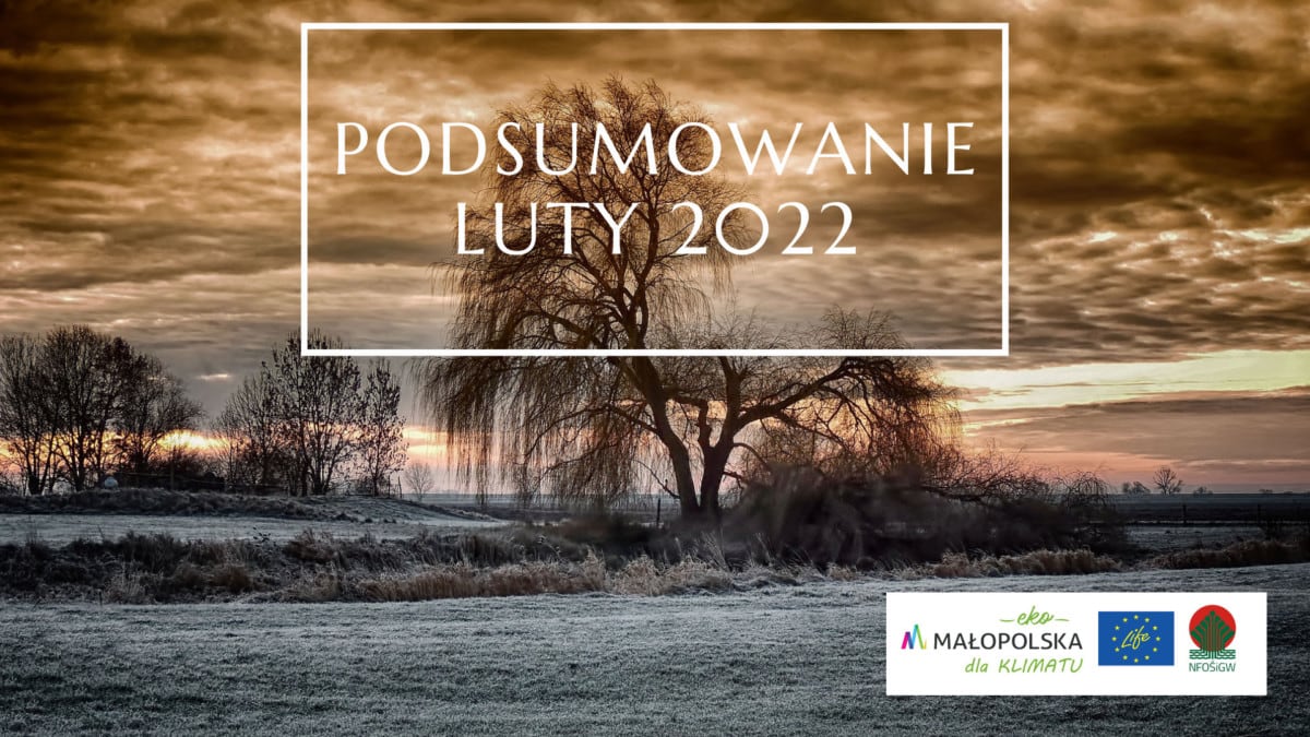 Podsumowanie LIFE EKOMAŁOPOLSKA – luty 2022