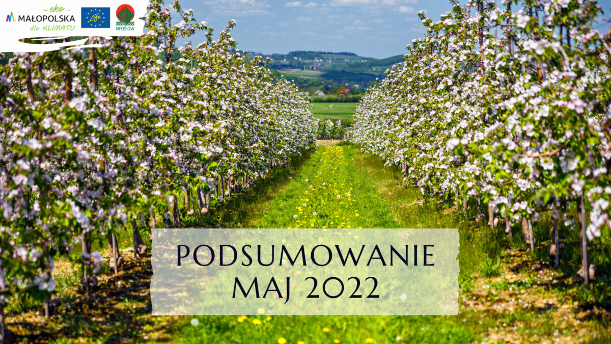 Podsumowanie maj 2022