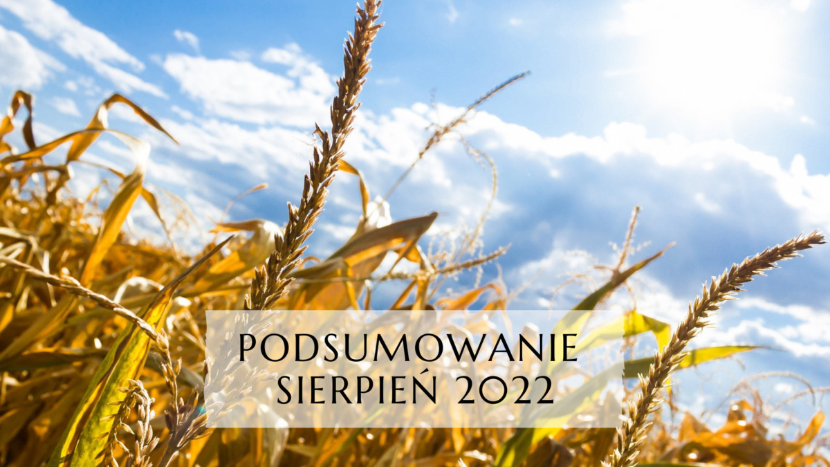 Podsumowanie sierpień 2022