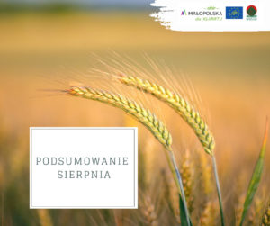 podsumowanie sierpień