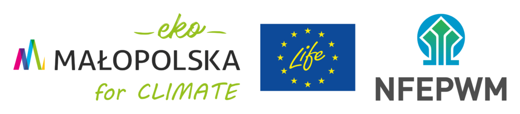 Logotyp anglojęzyczny Projektu LIFE EKOMALOPOLSKA – png - nowy