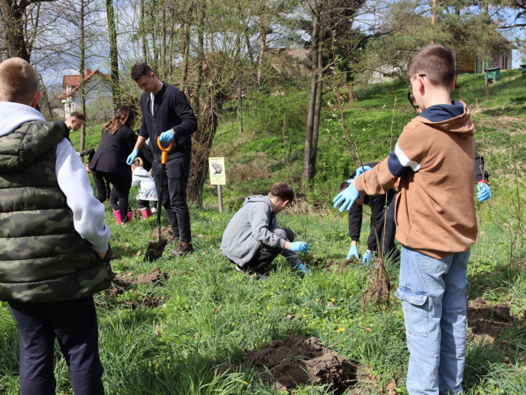 Sadzenie drzew w Lisiej Górze