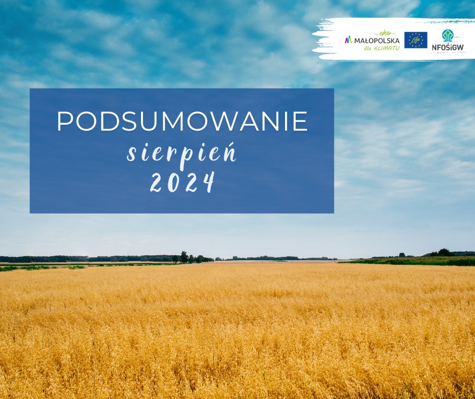 Podsumowanie sierpien 2024