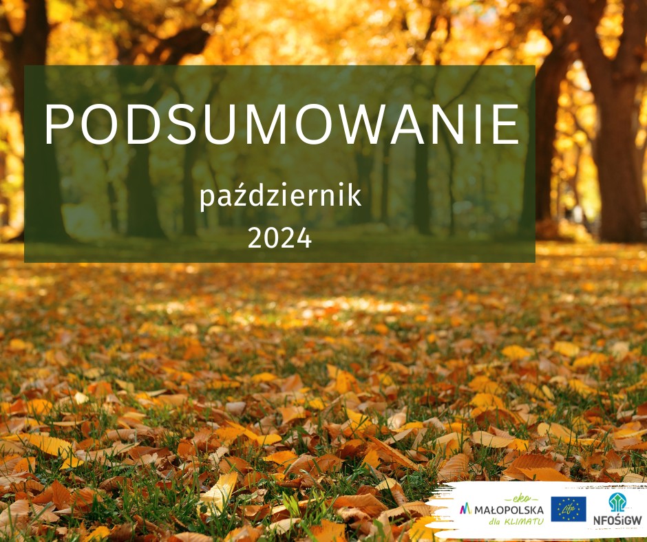 podsumowanie październik 2024