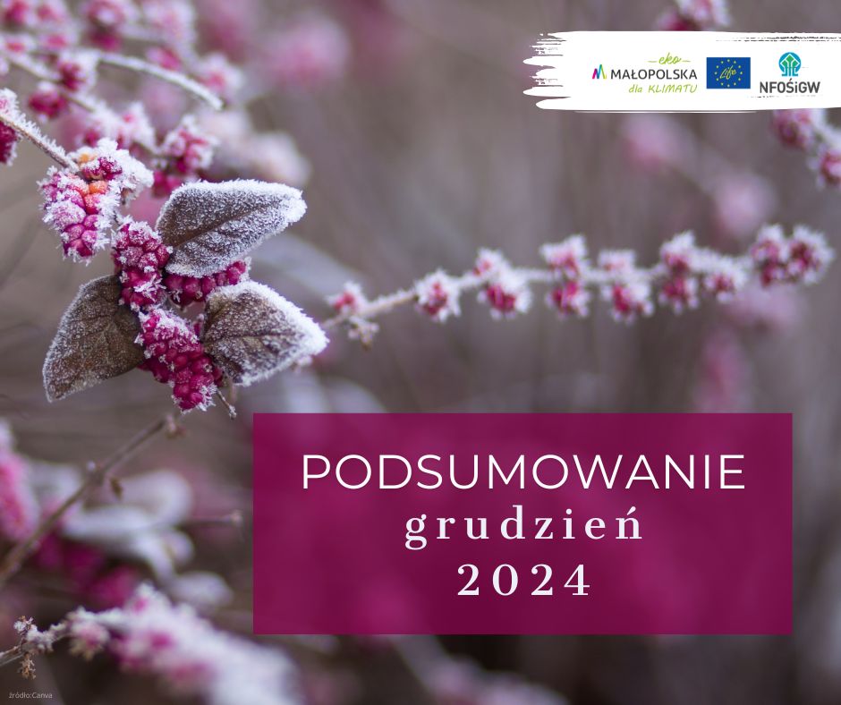 Podsumowanie grudzień