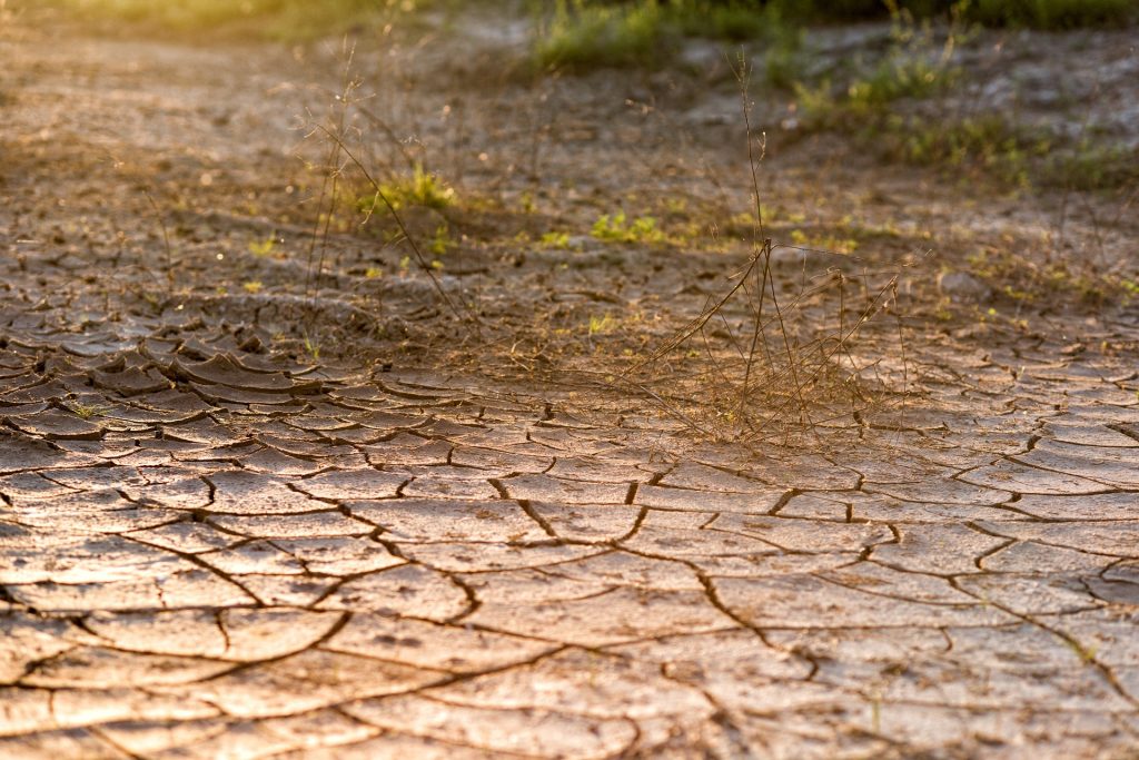 Opracowanie „Działania na rzecz łagodzenia i adaptacji do zmiany klimatu w kluczowych sektorach wskazanych w Regionalnym Planie Działań dla Klimatu i Energii – dobre praktyki krajowe i europejskie”