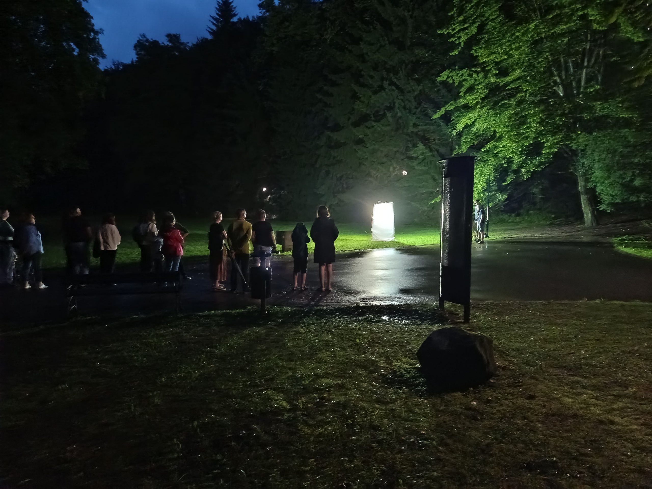 Dzieci z wycieczką w lesie