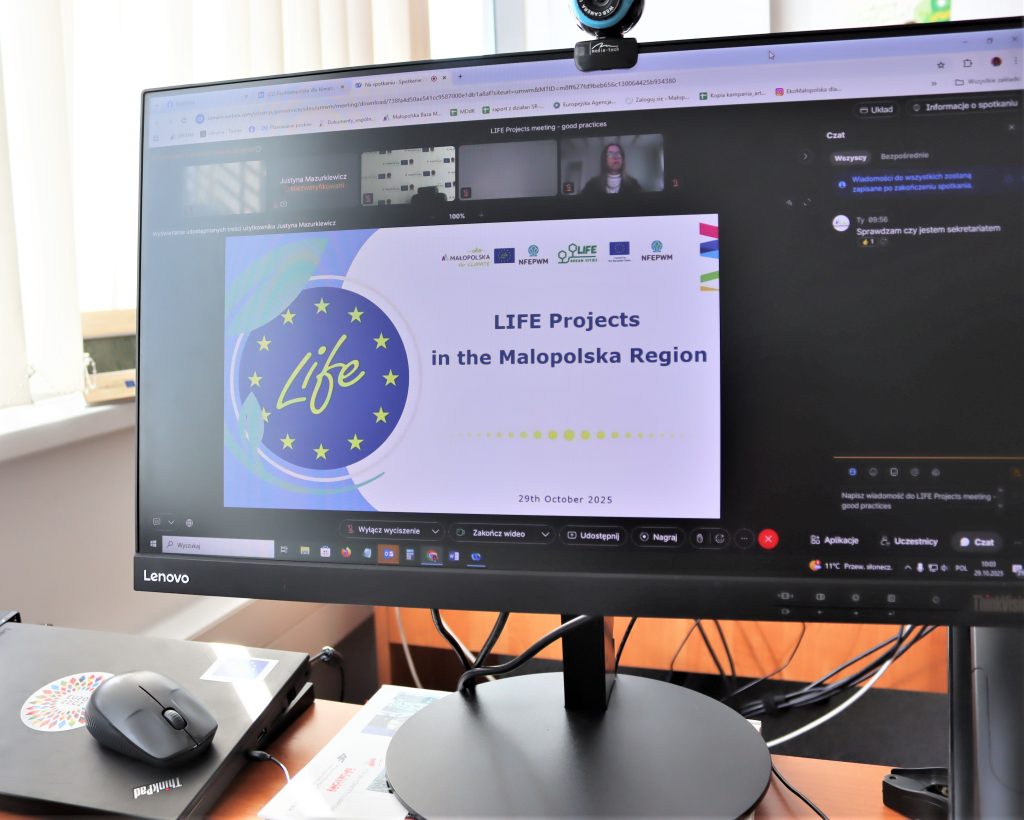 Ekran z prezentacją