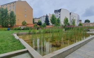 Zieleń i zbiornik retencyjny w miejskim parku