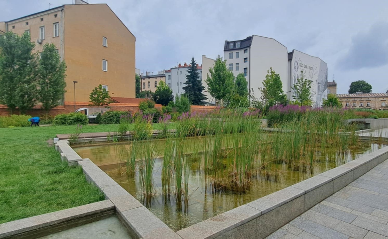 Zieleń i zbiornik retencyjny w miejskim parku