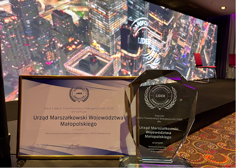 Lider Transformacji Energetycznej