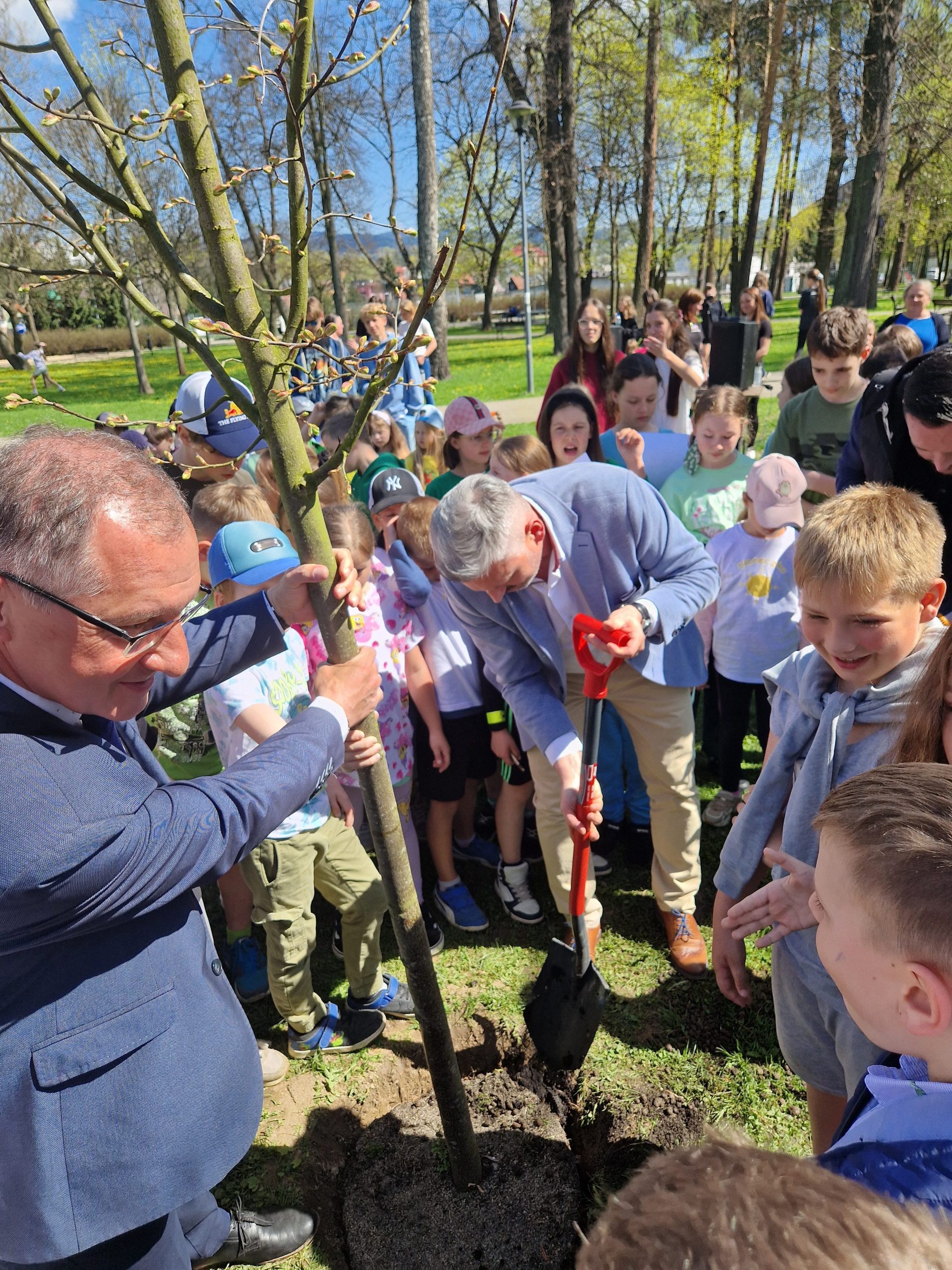 Sadzenie drzew w nowotarskim Parku Miejskim