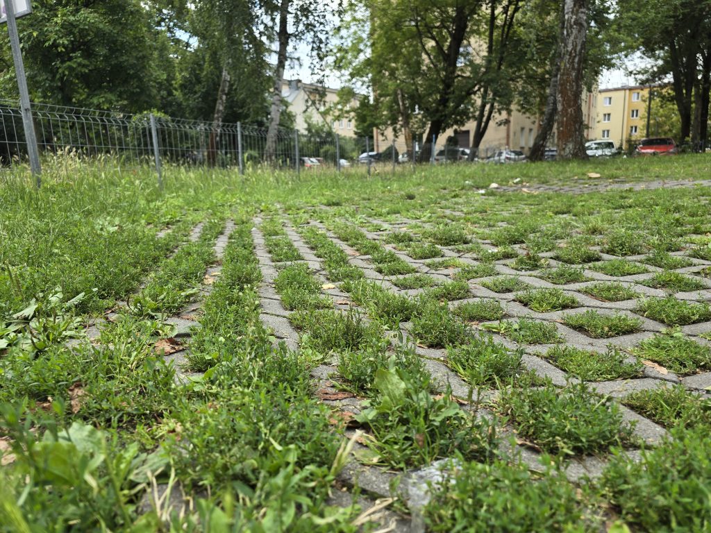 przykłady działań adaptacyjnych 