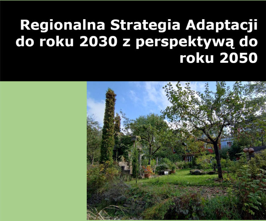 strona tytułowa dokumentu