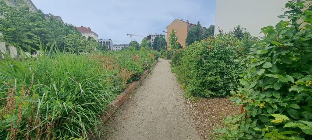 przykłady działań adaptacyjnych 