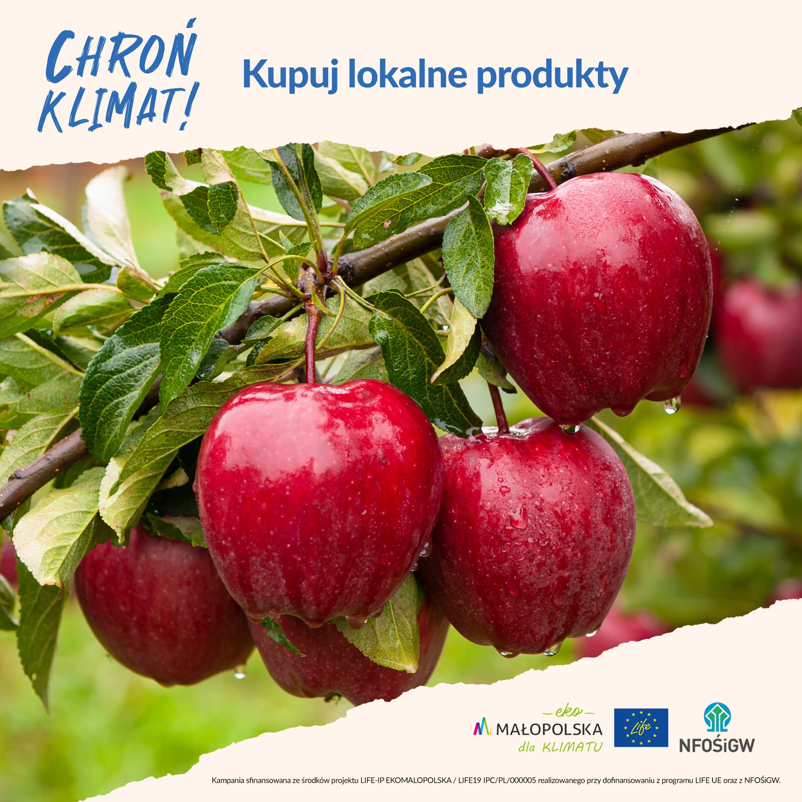 Post kampanii Chron klimat kupuj lokalnie, jabhłka