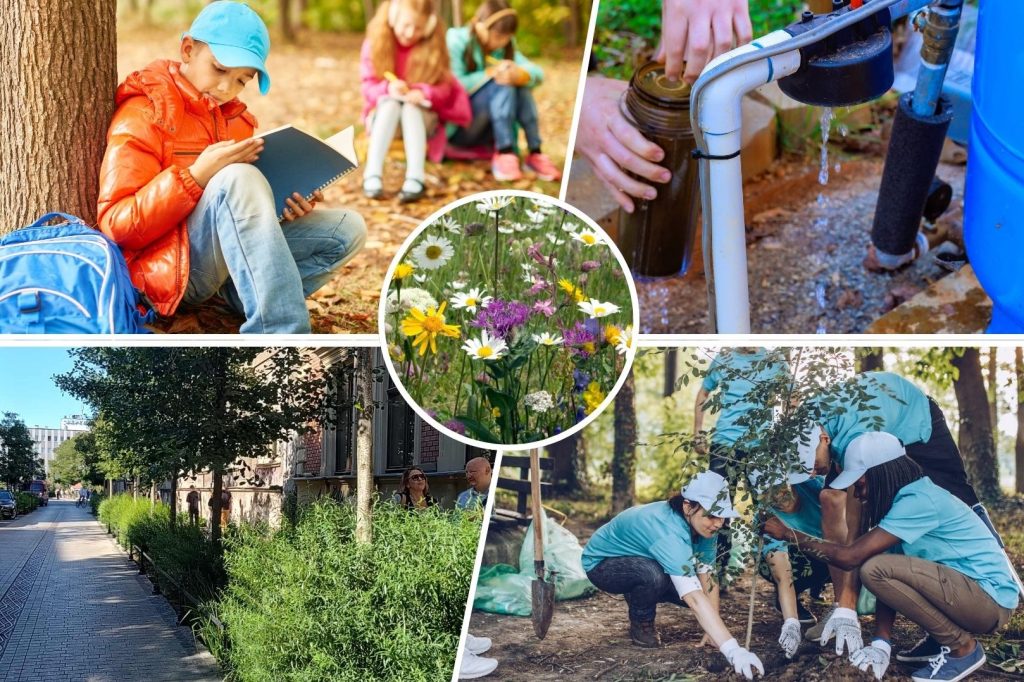 Regionalna Strategia Adaptacji – nasz plan działań w kierunku budowania odporności na skutki zmiany klimatu