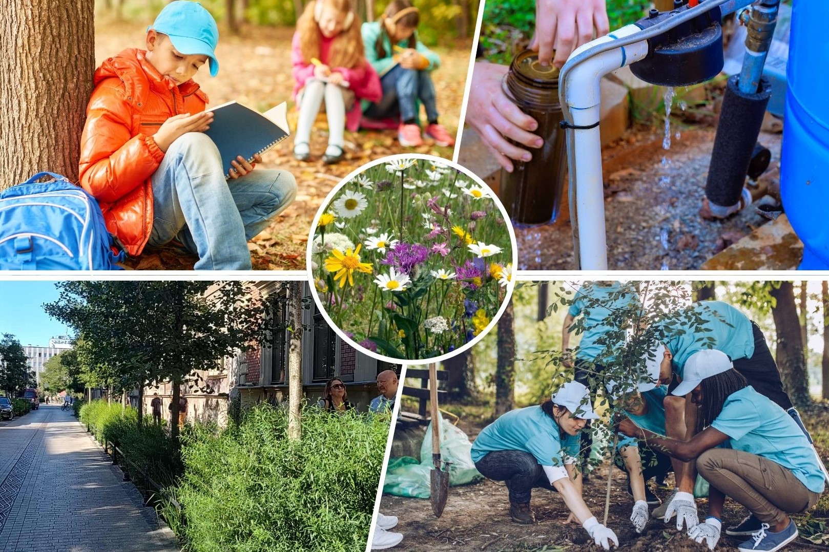 Składanka zdjęć przedstawiających uczące sie w terenie dzieci, retencje wody i zieleń miejską