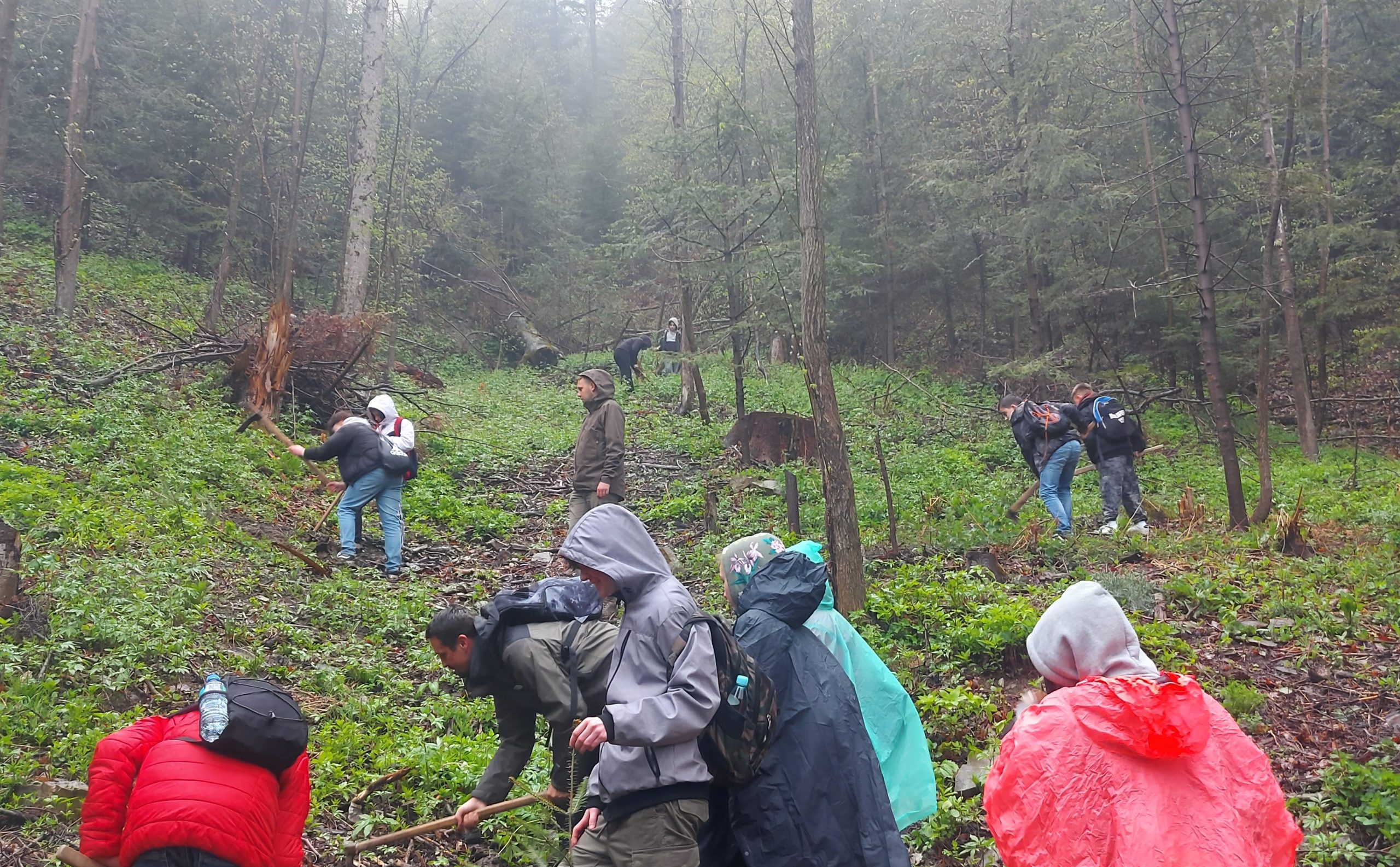 Sadzenie drzew z uczniami w czasie I MDdK