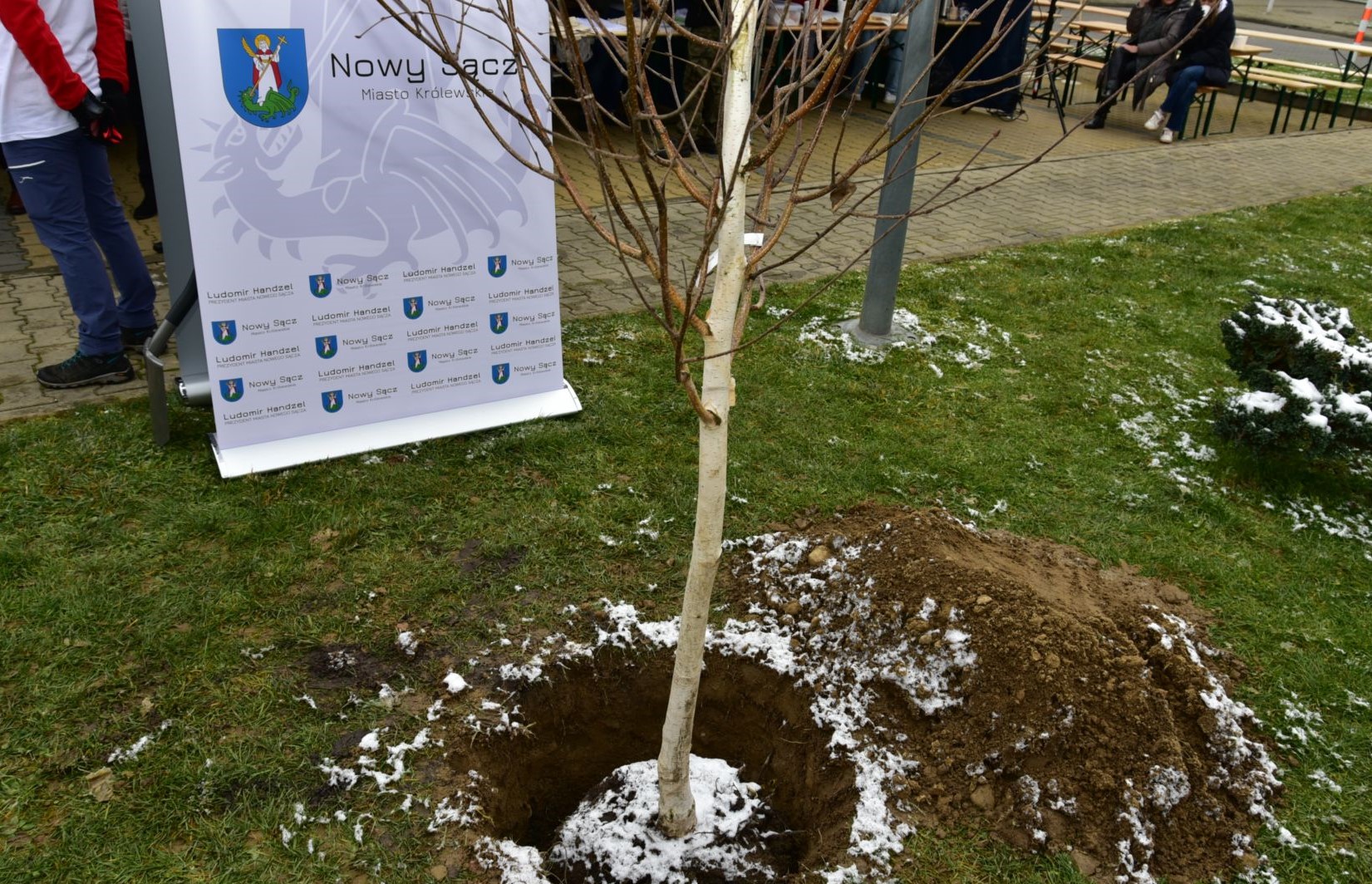 Wydarzenie Zielone Czyste Miasta w Nowy Sączu