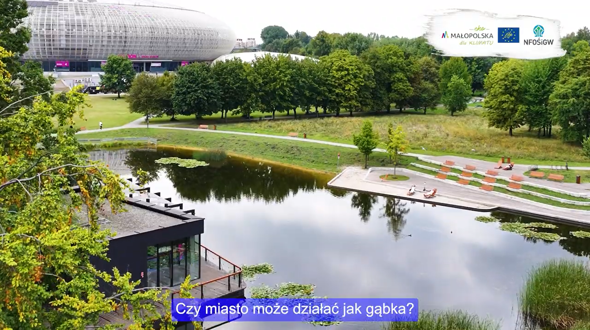 Konferencja Miasta - gąbki