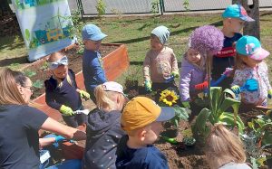 Małe dzieci sadzą z panią roślinki