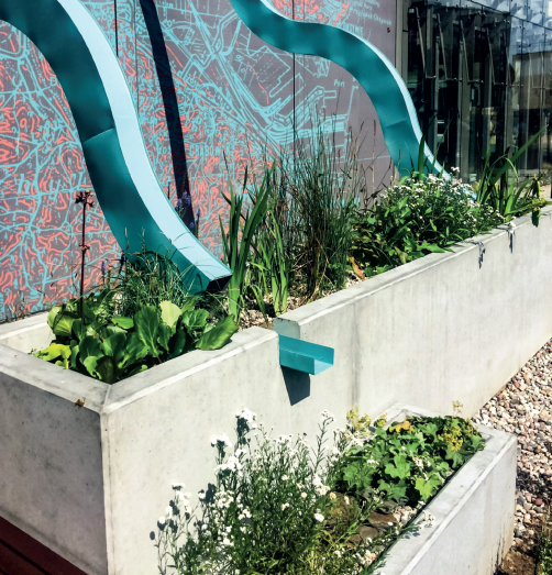 Małopolskie Ogrody Deszczowe odpowiedzią na wyzwania klimatyczne