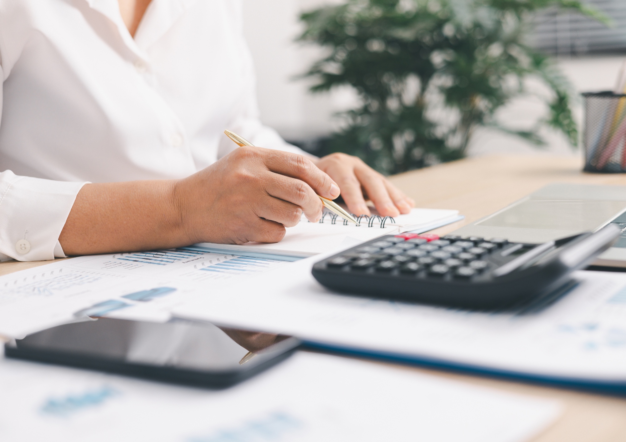 Ręce i kalkulator w tle roślina