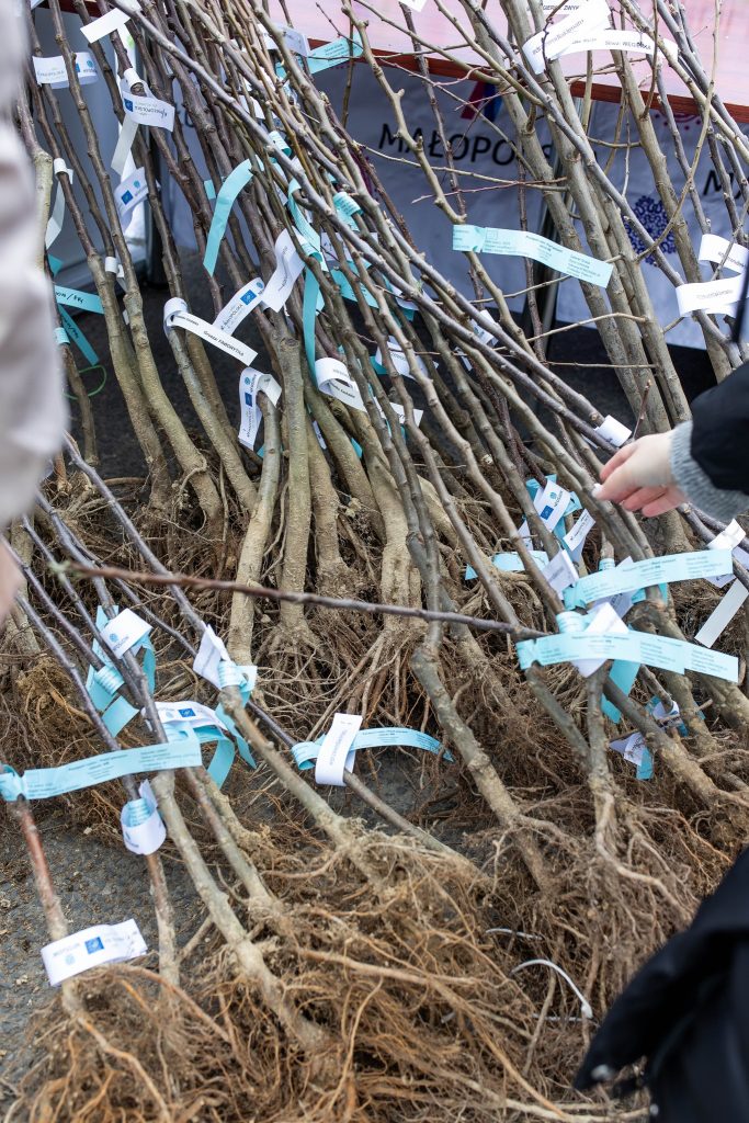 Klimat tworzy się lokalnie. Spotkajmy się na V Małopolskim Dniu dla Klimatu w Przegini Duchownej